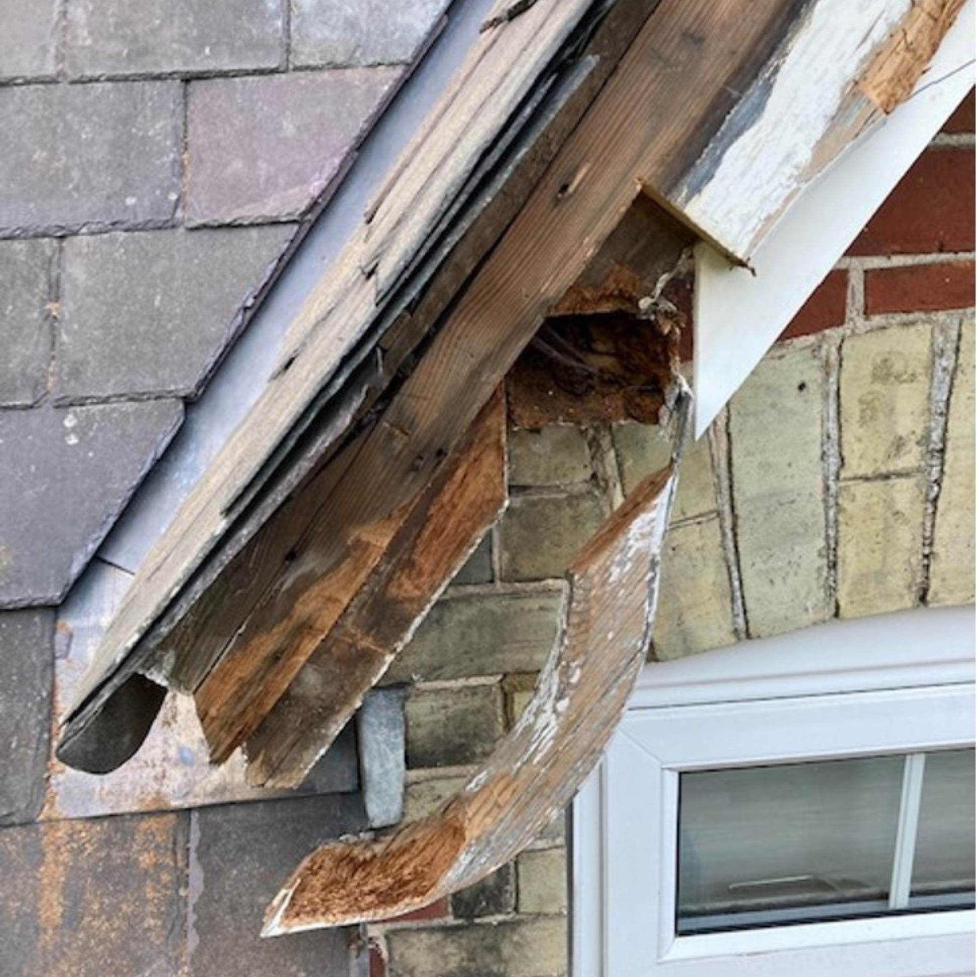 Damaged rotten roof eave with peeling paint and exposed wood, showing signs of wear and tear.